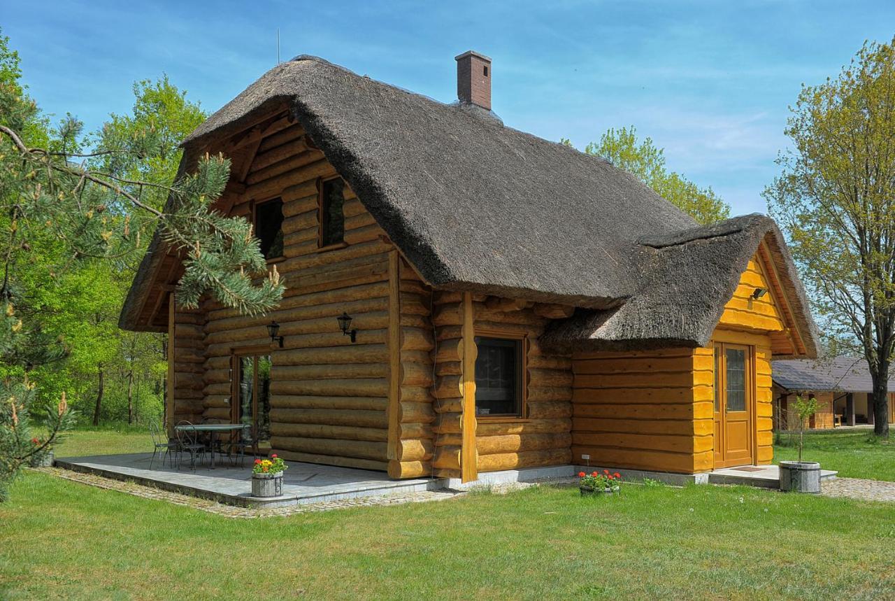 Dom Pod Sosnami Villa Gryzyna Exterior photo