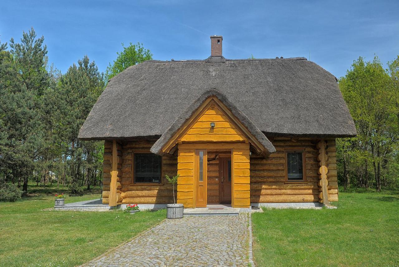 Dom Pod Sosnami Villa Gryzyna Exterior photo